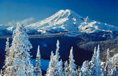 Mt. Rainier, Washington in the winter🌲 | Mount rainier national park, National parks, What is ...