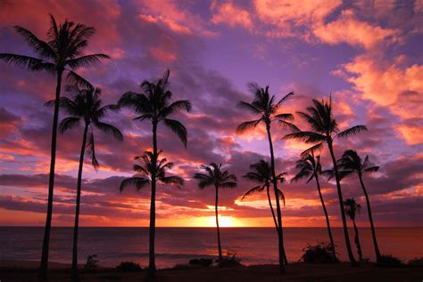 A Hawaiian Getaway - Free and Nearly Free Activities in Oahu and Maui | USA Student Tour Blog