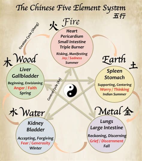 Introduction to the Chinese Five Element System | Traditional chinese medicine, Chinese medicine ...