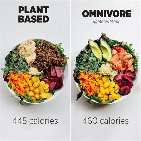 97 Likes, 6 Comments - Christopher Rocchio (@chris.rocchio_fit) on Instagram: “Plant based vs ...