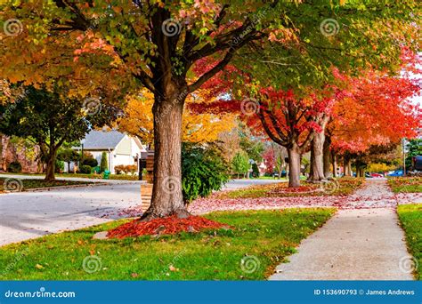 Suburban Neighborhood Sidewalk and Street in Autumn Stock Image - Image of travel, colorful ...