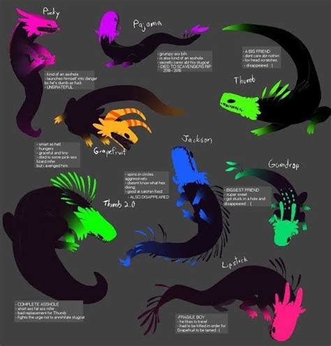 Pin em Dragon drawings | Anatomia do gato, Criaturas estranhas, Esboços ...