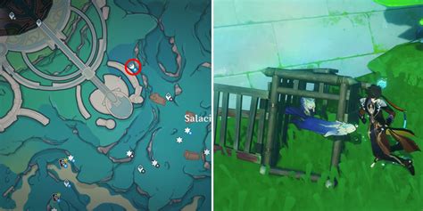 Genshin Impact: All Otter Locations (Precious Chest Reward)