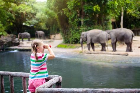 50 Best Zoos in the World to Visit in 2020 - TourScanner