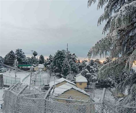 Mussoorie Dhanaulti Snowfall 20 January Latest Photo Video. Uttarakhand Snowfall: मसूरी- धनौल्टी ...