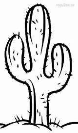Printable Cactus Coloring Pages For Kids  Cool2bKids sketch template