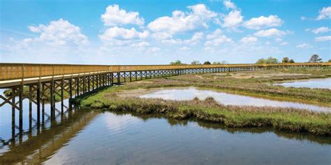 Delmarva Peninsula: Wild Horses, Windswept Beaches