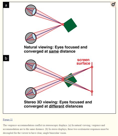 Stereoscopy and the Human Visual System | Golden Gate Stereoscopic Society