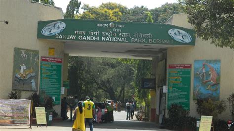 Sanjay Gandhi National Park set for massive makeover this year; to be a preferred destination ...