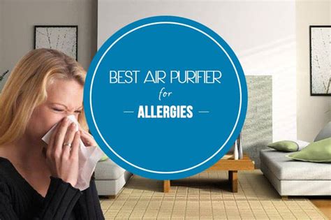 5 Best Air Purifiers for Allergies (Updated 2022) - Best Air Purifier Reviews