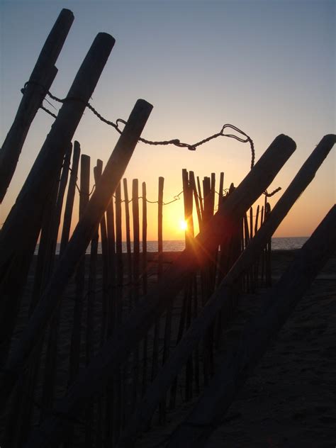 Free Images : beach, sea, water, horizon, silhouette, light, sunrise ...