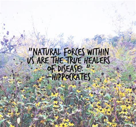 hippocrates quote | lifeinvividcolor.com | Hippocrates quotes, Medicine quotes, Health quotes