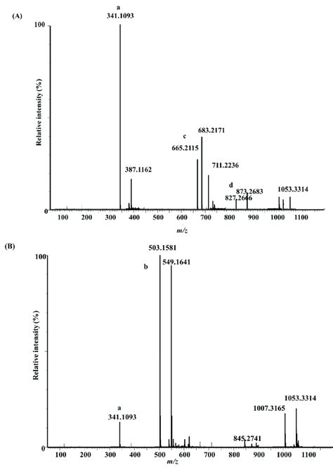 Mass spectra of the peaks with retention times 1.95 (A) and 2.07 (B),... | Download Scientific ...