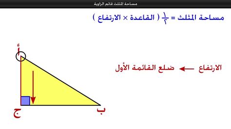 حساب مساحة المثلث القائم