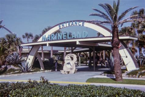 Celebrating the History of Marineland Florida • Authentic Florida