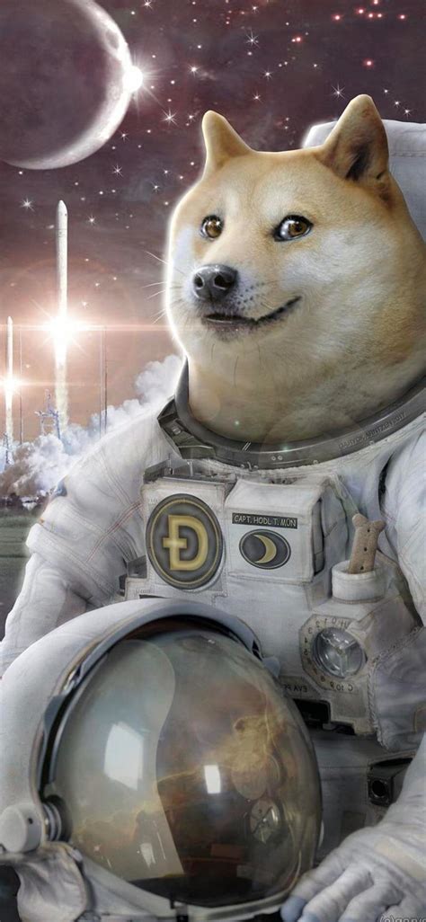 Dogecoin Moon, 2021, 2022, bitcoin, crypto, elon musk, ethereum, iasi, pascani, HD phone ...