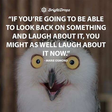 142 Funny (And Relatable) Inspirational Quotes to Celebrate Life | Inspirational quotes, Funny ...