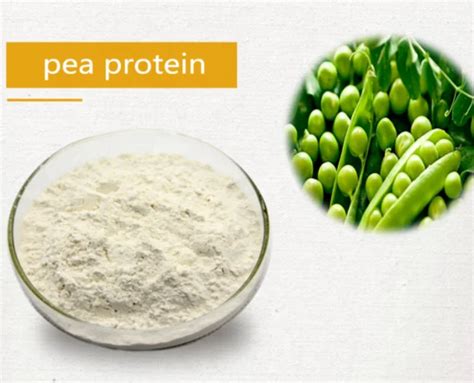 Organic Pea Protein/isolated Pea Protein 80%-85% In Stock Fast Delivery - Buy Isolated Pea ...