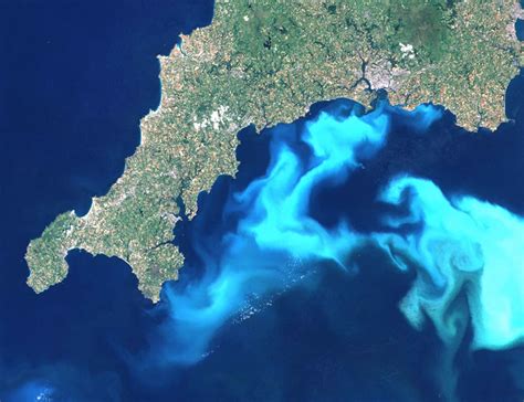 Satellite Images of Phytoplankton Blooms in Earth’s Oceans