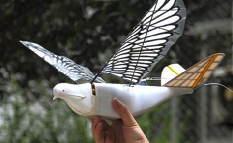 China is using robotic bird drones with cameras to monitor its citizens