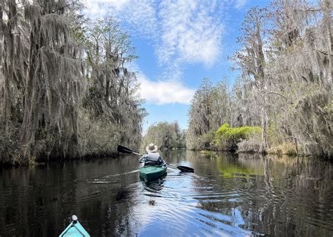 Kayaking the Enchanted Okefenokee Swamp, Florida