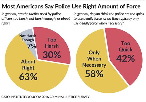 Evaluations of Police Tactics and Use of Force | Cato Institute