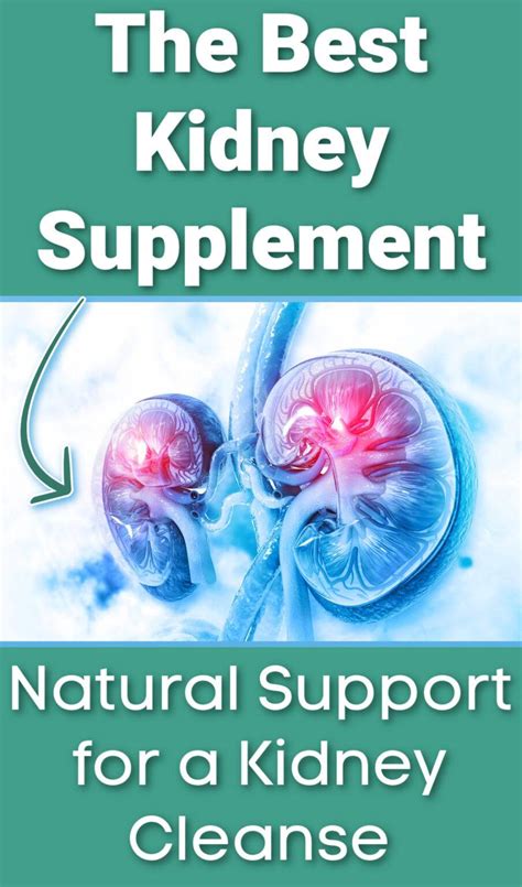 The 3 Best Kidney Support Supplements for Optimal Kidney Function