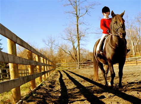 Common Questions Answered About Riding Horses