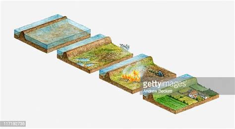 Land Reclamation Photos and Premium High Res Pictures - Getty Images