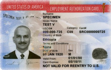 What is USCIS Form I-765 (Employment Authorization Document)