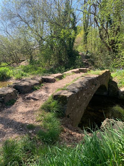 Packhorse Bridges: What are They? - RuralHistoria