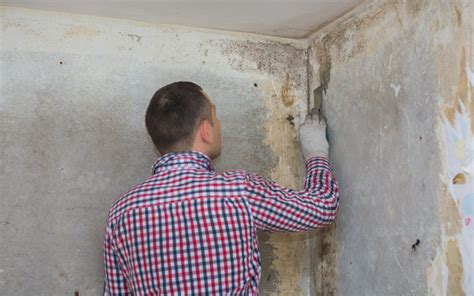 Mold Inspection & Testing: 5 Benefits of Hiring a Professional Service