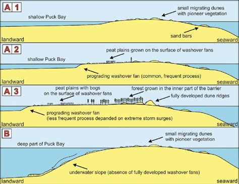 A1-A3-Step by step, scenario of Hel Peninsula development. B-in the... | Download Scientific Diagram