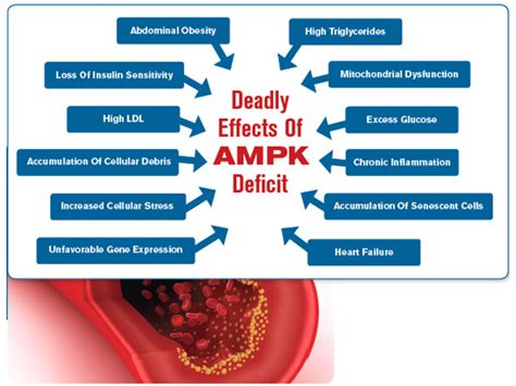 Can Insulin Resistance Cause Weight Gain?