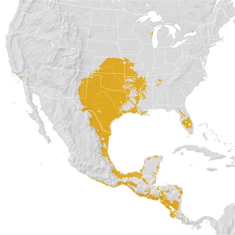 Scissor-tailed Flycatcher - Range map: Post-breeding migration - eBird Status and Trends