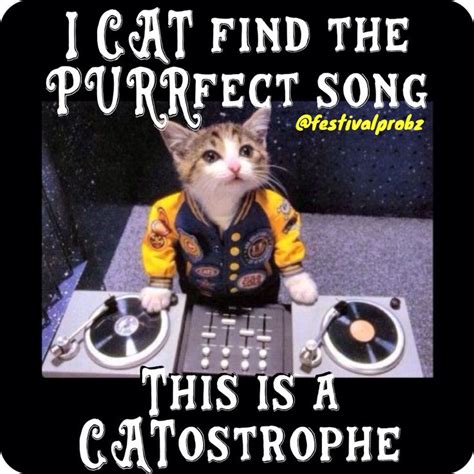 #cat #kitty #dj #edm #rave #puns #memes | Memes | Pinterest | Cats, Edm and Rave