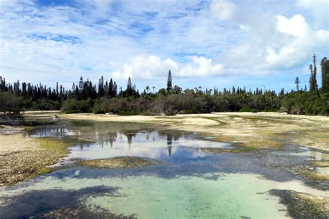 New Caledonia Islands: which one should you explore?