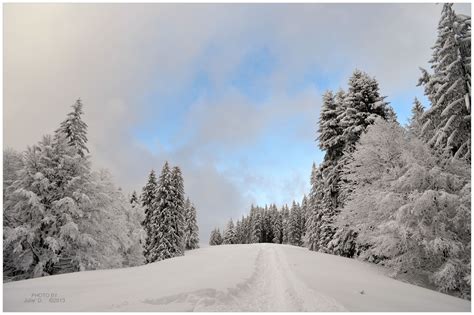 Blanket Of Snow by timelesscolors on DeviantArt