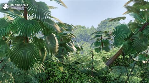 Tropical and subtropical forests | 3D Dinopedia