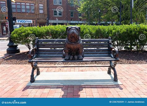 Yale University Handsome Dan Statue on a Park Bench in New Haven ...