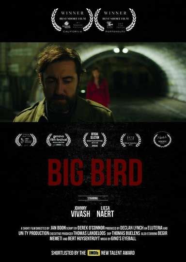 Big Bird - Movie Cast, Reviews, Trailers & Streaming Info | Moviefone