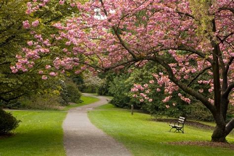 Washington Park Arboretum photo spot, Seattle