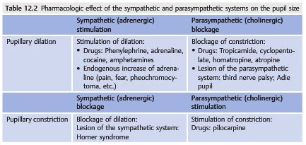 Neuro-ophthalmology Questions of the Week: Pupils – Examination, Anatomy & Physiology — Neuro ...