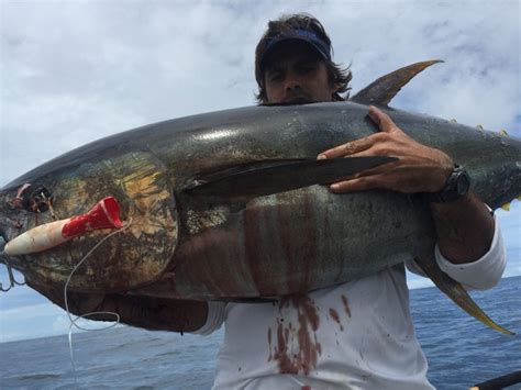 Popper fishing techniques we use while fishing in Panama