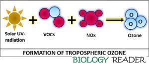 Ozone Formation - Definition, Properties & Generation - Biology Reader