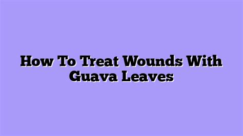 ᐉ How To Treat Wounds With Guava Leaves - A Complete Beginner's Guide