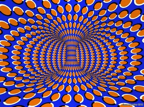 Illusory Motion ... | Amazing optical illusions, Cool optical illusions, Art optical