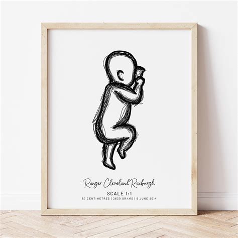 Birth Poster Scale 1:1 | on The Hive NZ | sold by Autumn Designs NZ