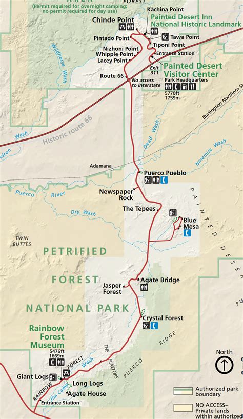 Petrified Forest National Park in One Day - Getaway Compass