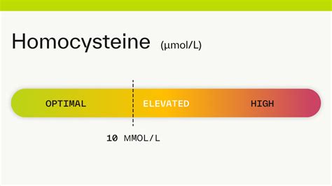 High Homocysteine Levels ! All you need to know about ? - MLS Diagnostics